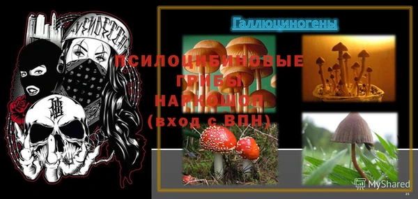 PSILOCYBIN Армянск
