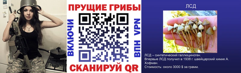 Галлюциногенные грибы MAGIC MUSHROOMS  наркотики  Чапаевск 