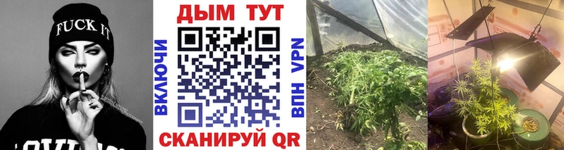 kraken   Чапаевск  Каннабис марихуана 